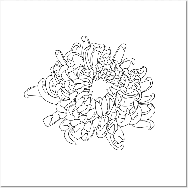 Chrysanthemum Wall Art by themintgardener